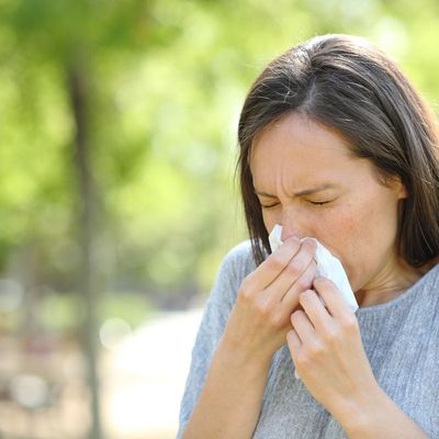 Jó hír a pollen-allergiásoknak