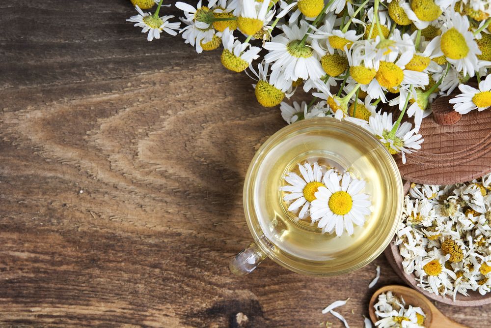 4 gyógynövény, ami mindenképp legyen otthon