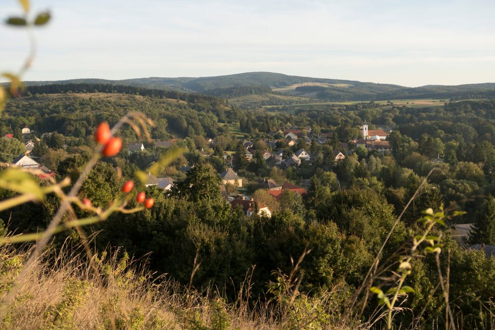 Egyre többen vásárolnak falusi családi házat