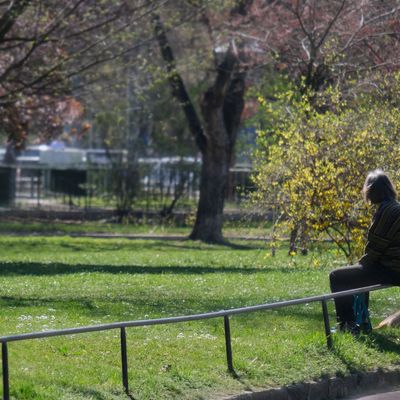 Zeffer András: „A betegség alatt tele voltam tenni akarással” 