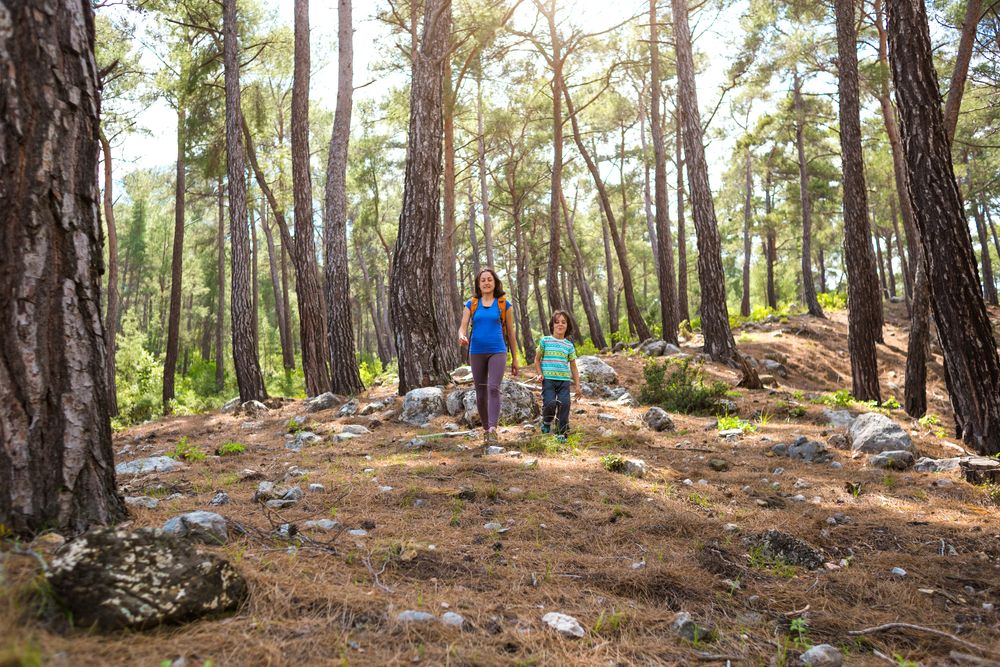 24-es túrabakancsban hegyen-völgyön át