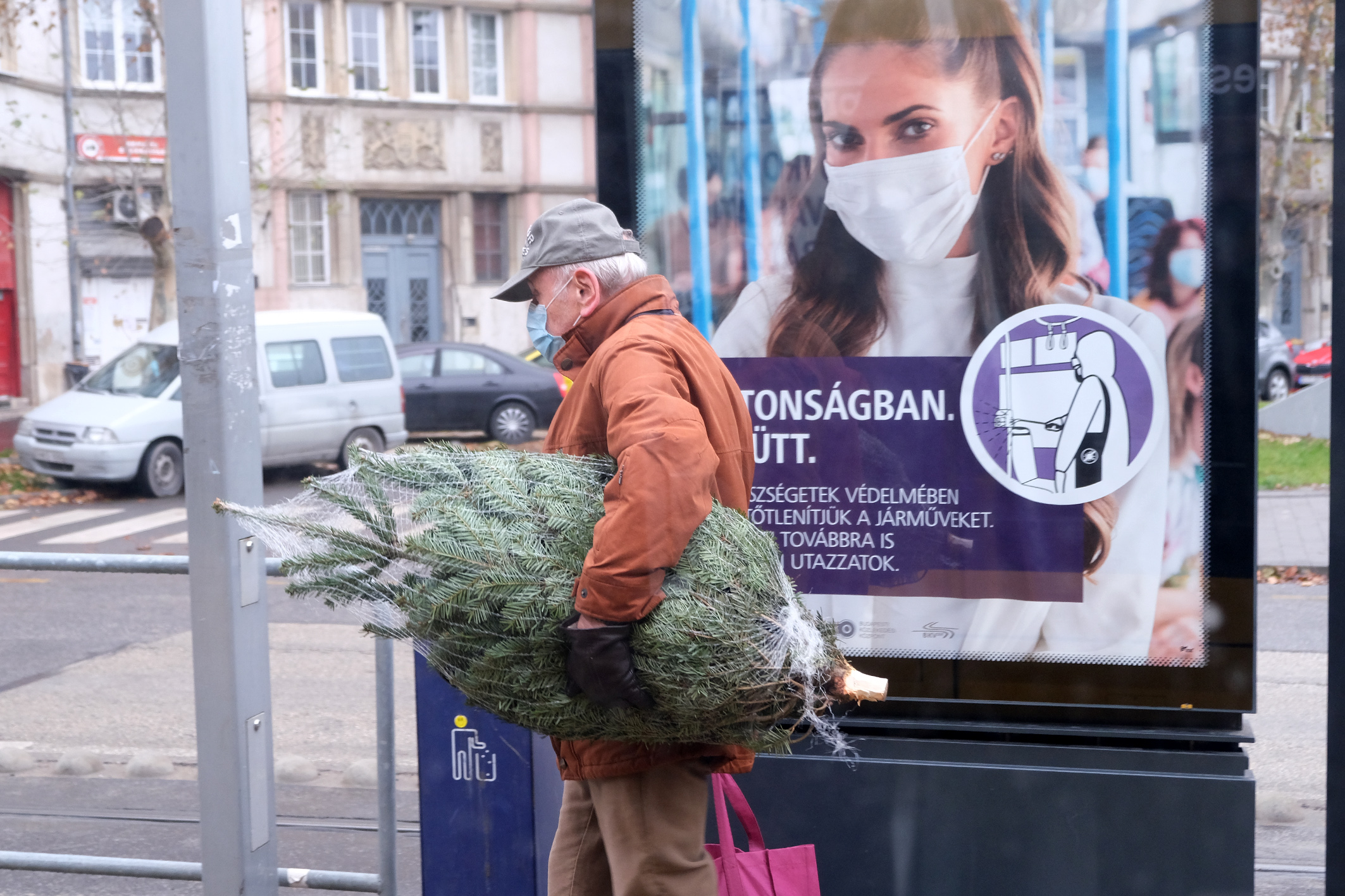 Időben vegyük meg az idei karácsonyfát!  