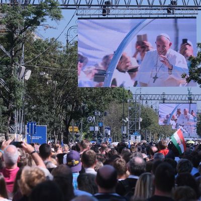 Ferenc pápa ismét a szülőség fontosságát magasztalta